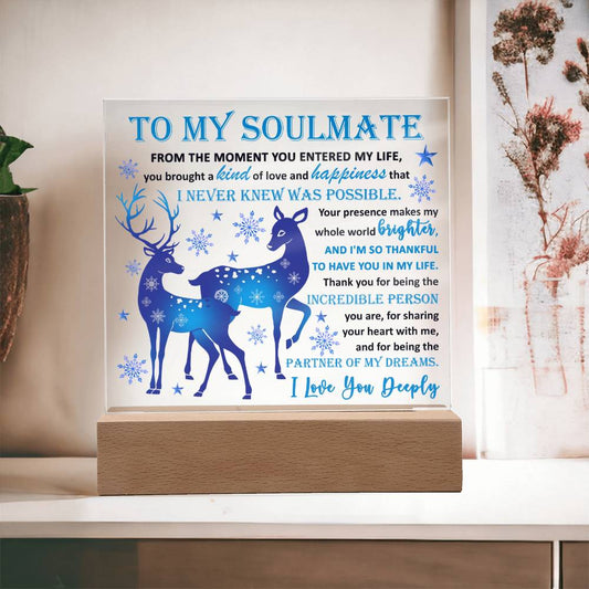 Soulmate/Partner of Dream/Acrylic/Christmas/Wife/Husband/Anniversary